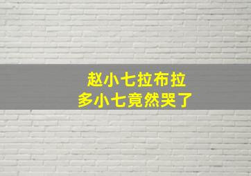 赵小七拉布拉多小七竟然哭了