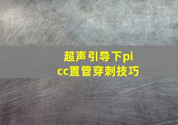 超声引导下picc置管穿刺技巧