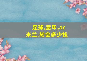 足球,意甲,ac米兰,转会多少钱