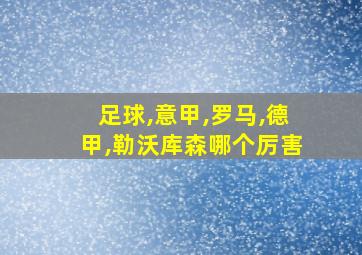 足球,意甲,罗马,德甲,勒沃库森哪个厉害