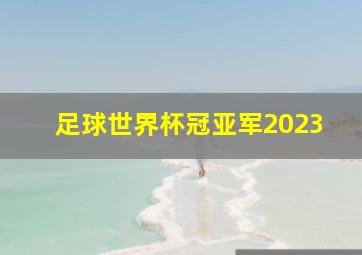 足球世界杯冠亚军2023