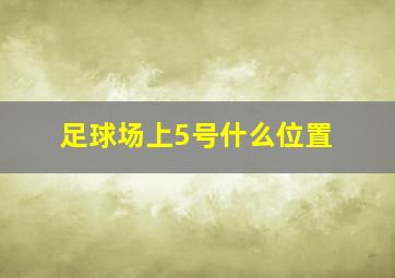 足球场上5号什么位置