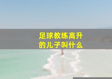 足球教练高升的儿子叫什么