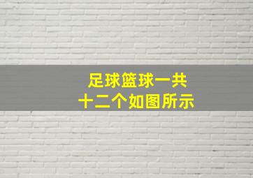 足球篮球一共十二个如图所示