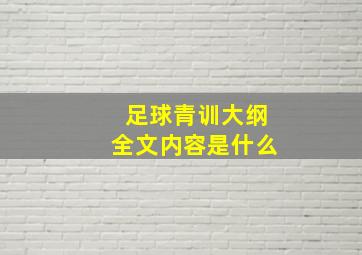 足球青训大纲全文内容是什么