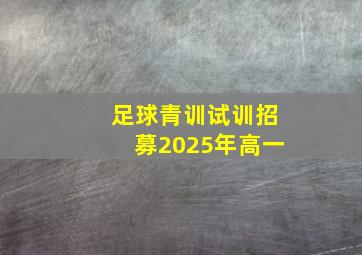 足球青训试训招募2025年高一