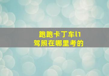 跑跑卡丁车l1驾照在哪里考的