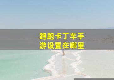 跑跑卡丁车手游设置在哪里