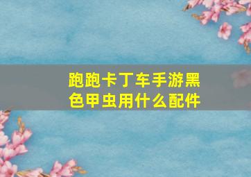 跑跑卡丁车手游黑色甲虫用什么配件