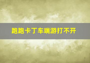 跑跑卡丁车端游打不开