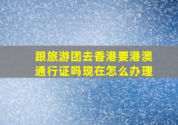 跟旅游团去香港要港澳通行证吗现在怎么办理