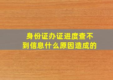 身份证办证进度查不到信息什么原因造成的