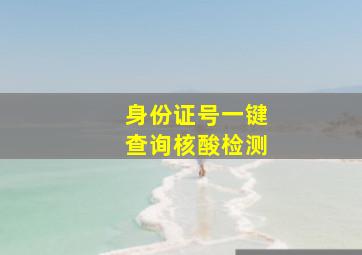 身份证号一键查询核酸检测