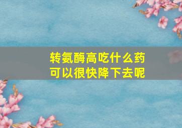 转氨酶高吃什么药可以很快降下去呢