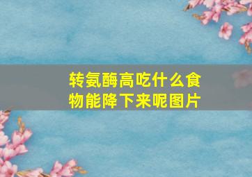 转氨酶高吃什么食物能降下来呢图片