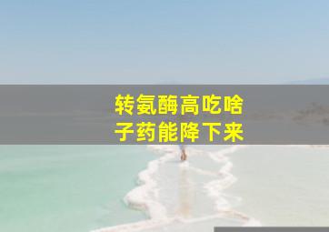 转氨酶高吃啥子药能降下来