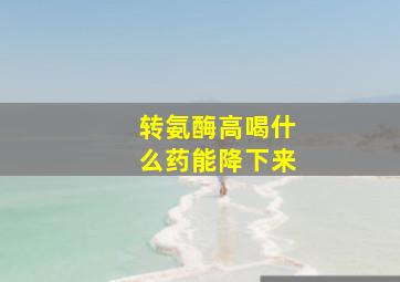 转氨酶高喝什么药能降下来