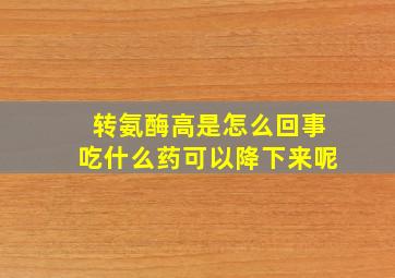 转氨酶高是怎么回事吃什么药可以降下来呢