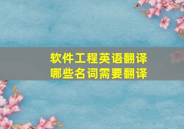 软件工程英语翻译哪些名词需要翻译