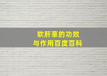 软肝草的功效与作用百度百科