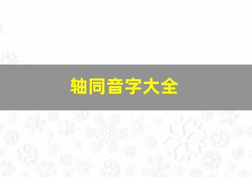 轴同音字大全