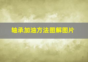 轴承加油方法图解图片