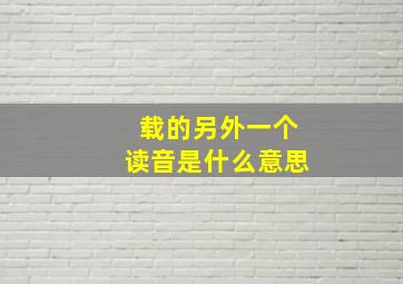 载的另外一个读音是什么意思