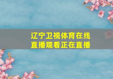 辽宁卫视体育在线直播观看正在直播