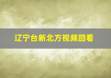 辽宁台新北方视频回看