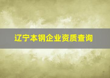 辽宁本钢企业资质查询