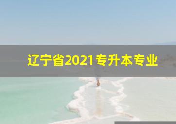 辽宁省2021专升本专业