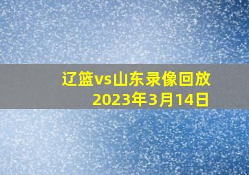 辽篮vs山东录像回放2023年3月14日