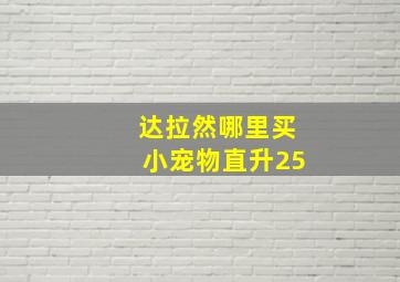 达拉然哪里买小宠物直升25