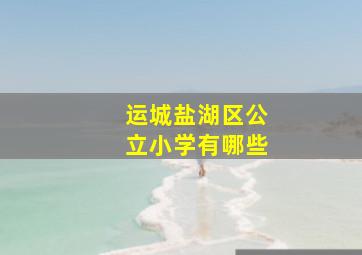 运城盐湖区公立小学有哪些