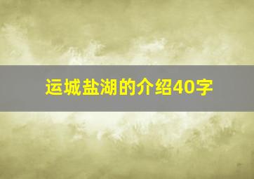 运城盐湖的介绍40字