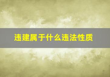 违建属于什么违法性质