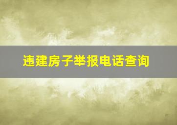 违建房子举报电话查询