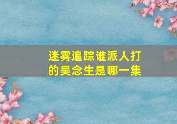 迷雾追踪谁派人打的吴念生是哪一集