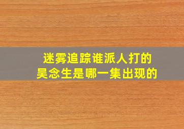 迷雾追踪谁派人打的吴念生是哪一集出现的