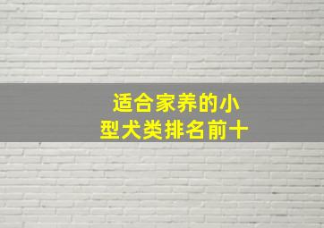 适合家养的小型犬类排名前十