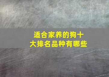 适合家养的狗十大排名品种有哪些