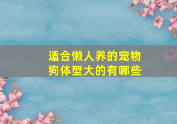 适合懒人养的宠物狗体型大的有哪些