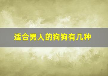 适合男人的狗狗有几种