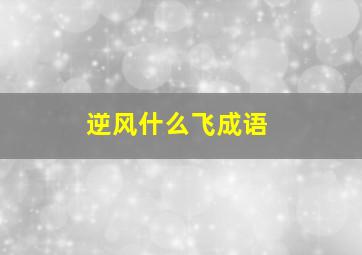 逆风什么飞成语