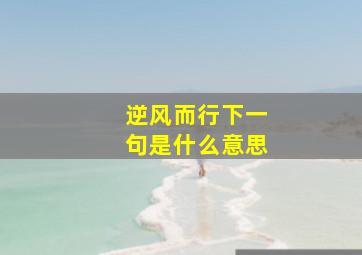 逆风而行下一句是什么意思