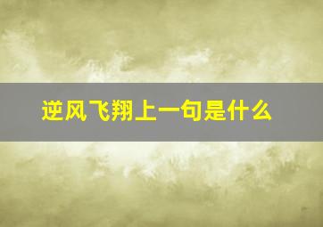 逆风飞翔上一句是什么