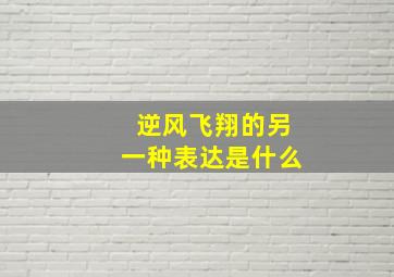 逆风飞翔的另一种表达是什么