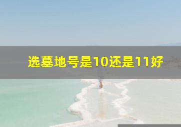 选墓地号是10还是11好