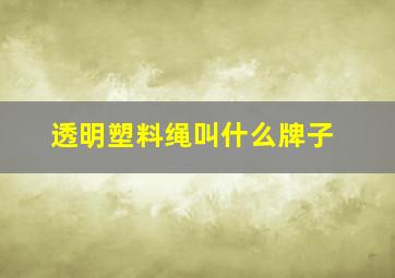 透明塑料绳叫什么牌子