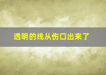 透明的线从伤口出来了